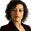 Nergis Ozturk as Seda Gokmen